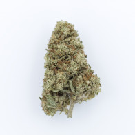 CBG White  - Outdoor